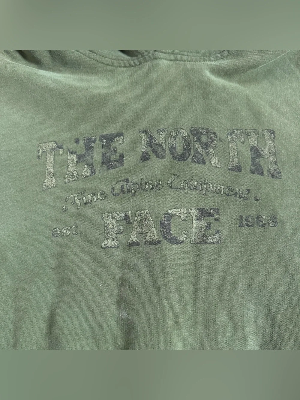 The North Face Men's Olive Hoodie with Subtle Logo